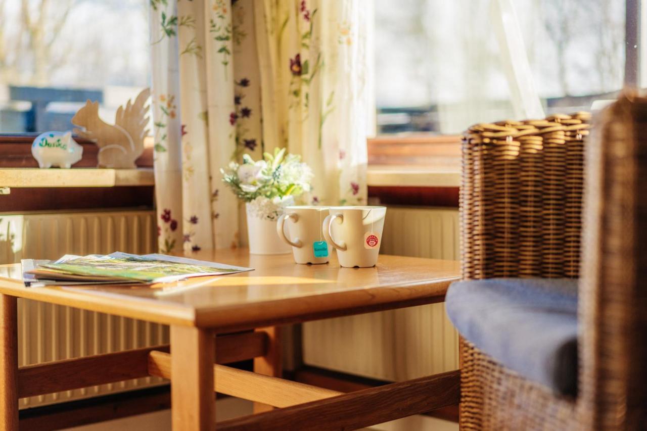 Schwalbennest St. Andreasberg Apartment Sankt Andreasberg Ngoại thất bức ảnh